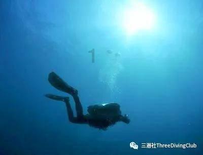 普通面粉和低筋面粉有什么区别-专业知识星球平台